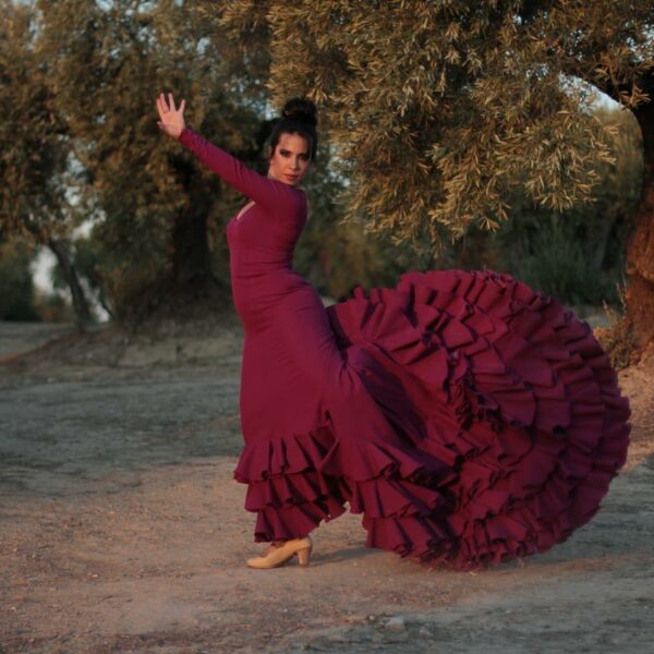 Taller - flamenco optw